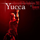 Yucca